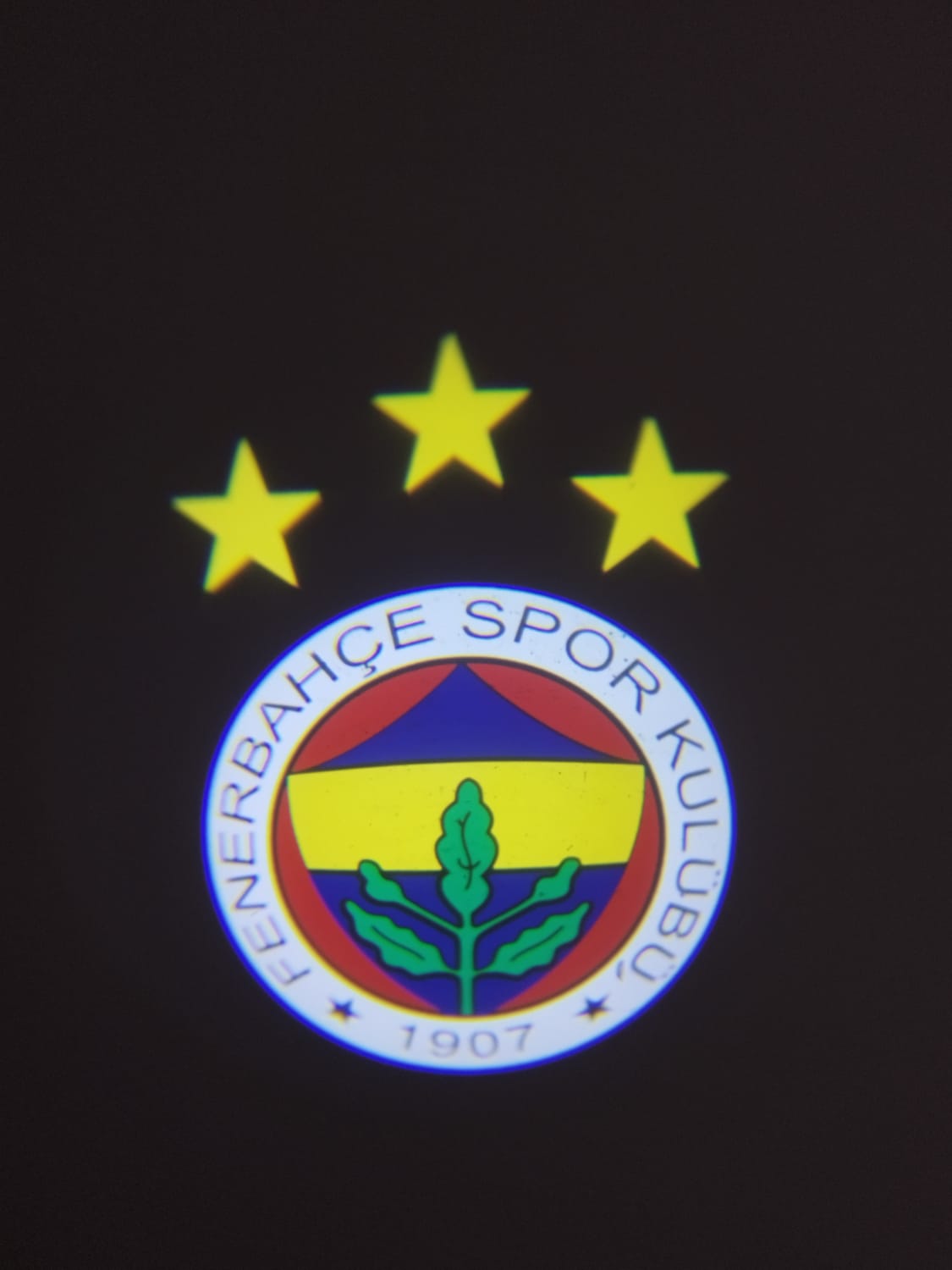 Araç Kapı Altı Logo Led Işık ( 2 adet )